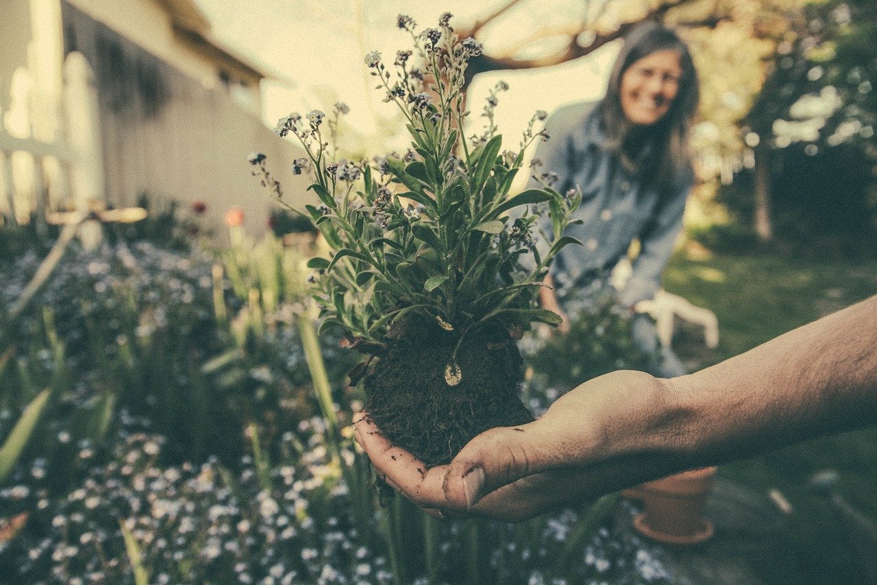 Pourquoi faire ses travaux de jardinage soi-même ?